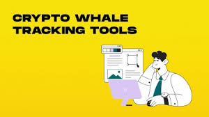 crypto whale tracking