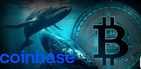 Crypto Whale Wallet Tracker