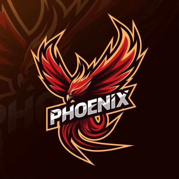 Phoenix RowHammer Attack